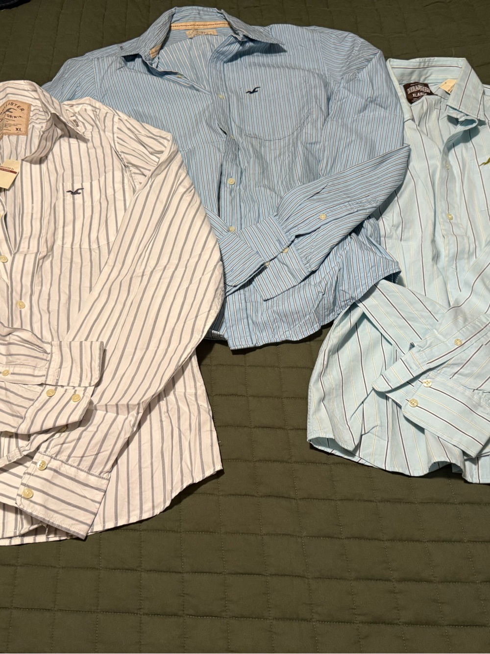 NWT 3 Hollister Men’s Button Downs